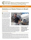 Statistics Waste Pickers Brazil