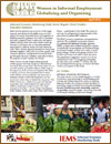 IEMS Sector Report, Executive Summary -  Street Vendors