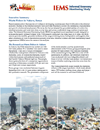Executive Summary: Waste Pickers in Nakuru, Kenya - Informal Economy Monitoring Study