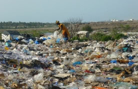 Woman working with waste at landfill in Senegal