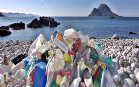 Plastic bottles on the shoreline