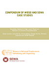 Compendium_WIEGO-SEWA_Case_Studies_UN_HLP