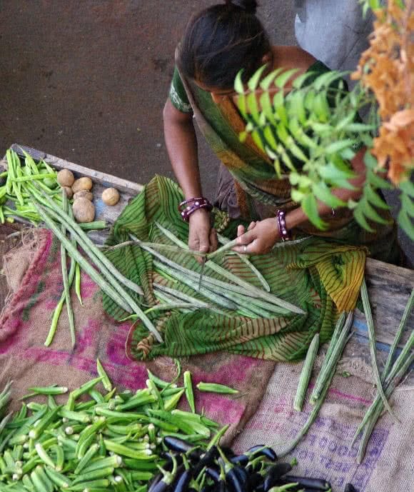 Indian vendor