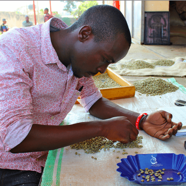 Informal Worker - Vendor