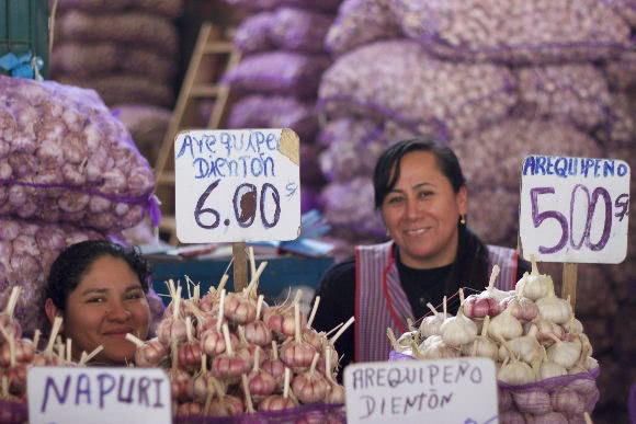 Wholesale market garlic vendors