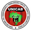União de Trabalhadores Ambulantes, Feriantes e Camelôs do Brasil (UNICAB)
