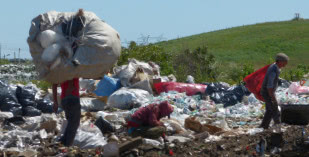 Waste pickers in Uruguay