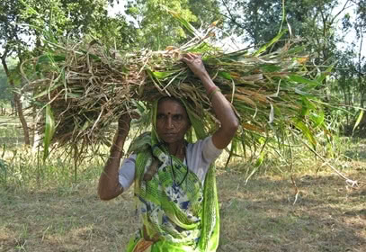 Head porter carrying workload