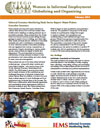 Executive Summary: Informal Economy Monitoring Study Waste Picker Secotr Report