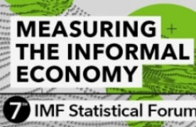 IMF banner Nov 2019